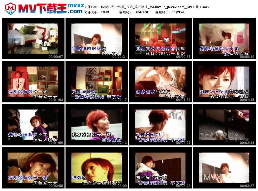 孙燕姿-另一张脸_国语_流行歌曲_MA402197